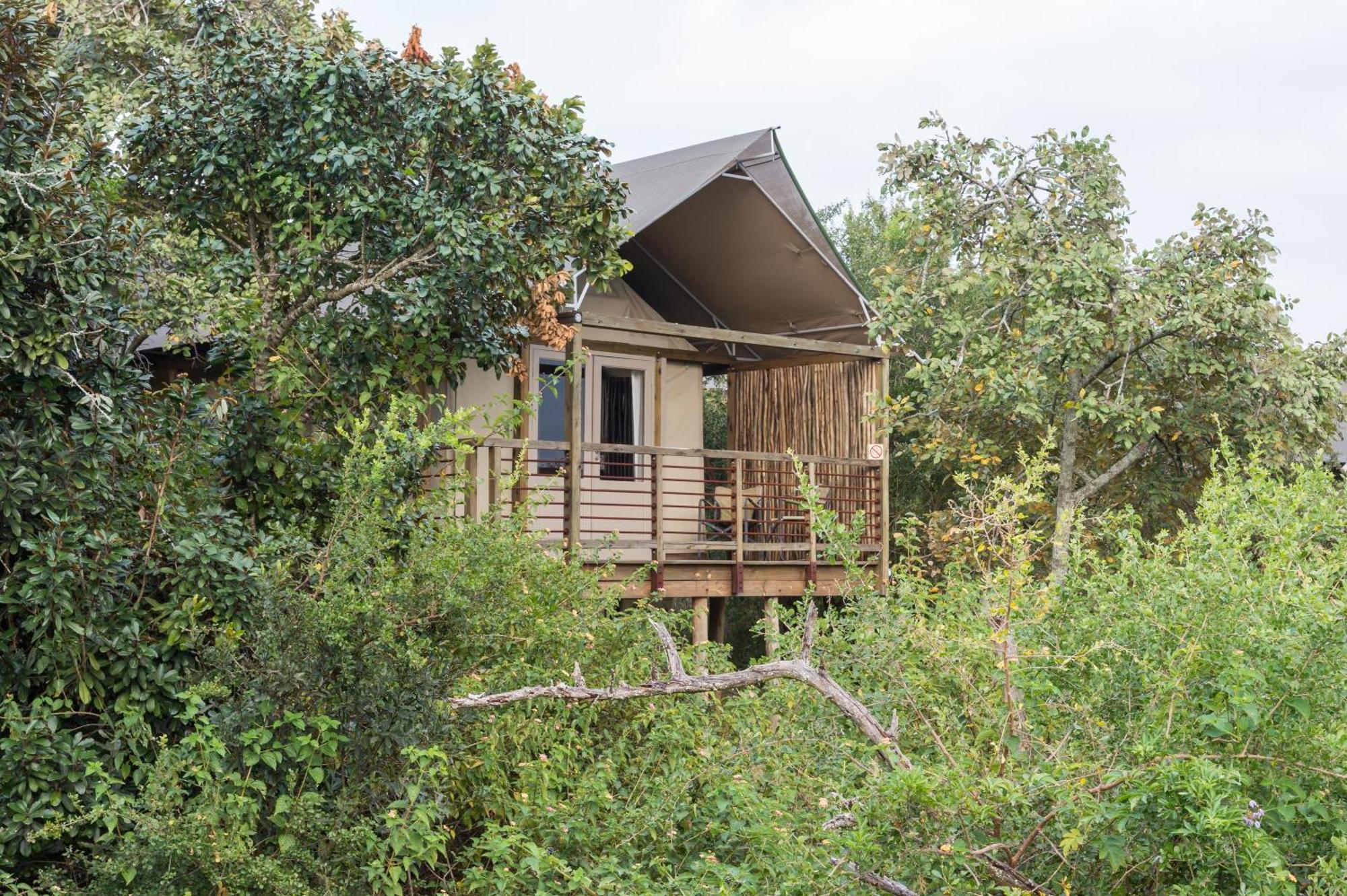 Ndhula Luxury Tented Lodge White River Dış mekan fotoğraf