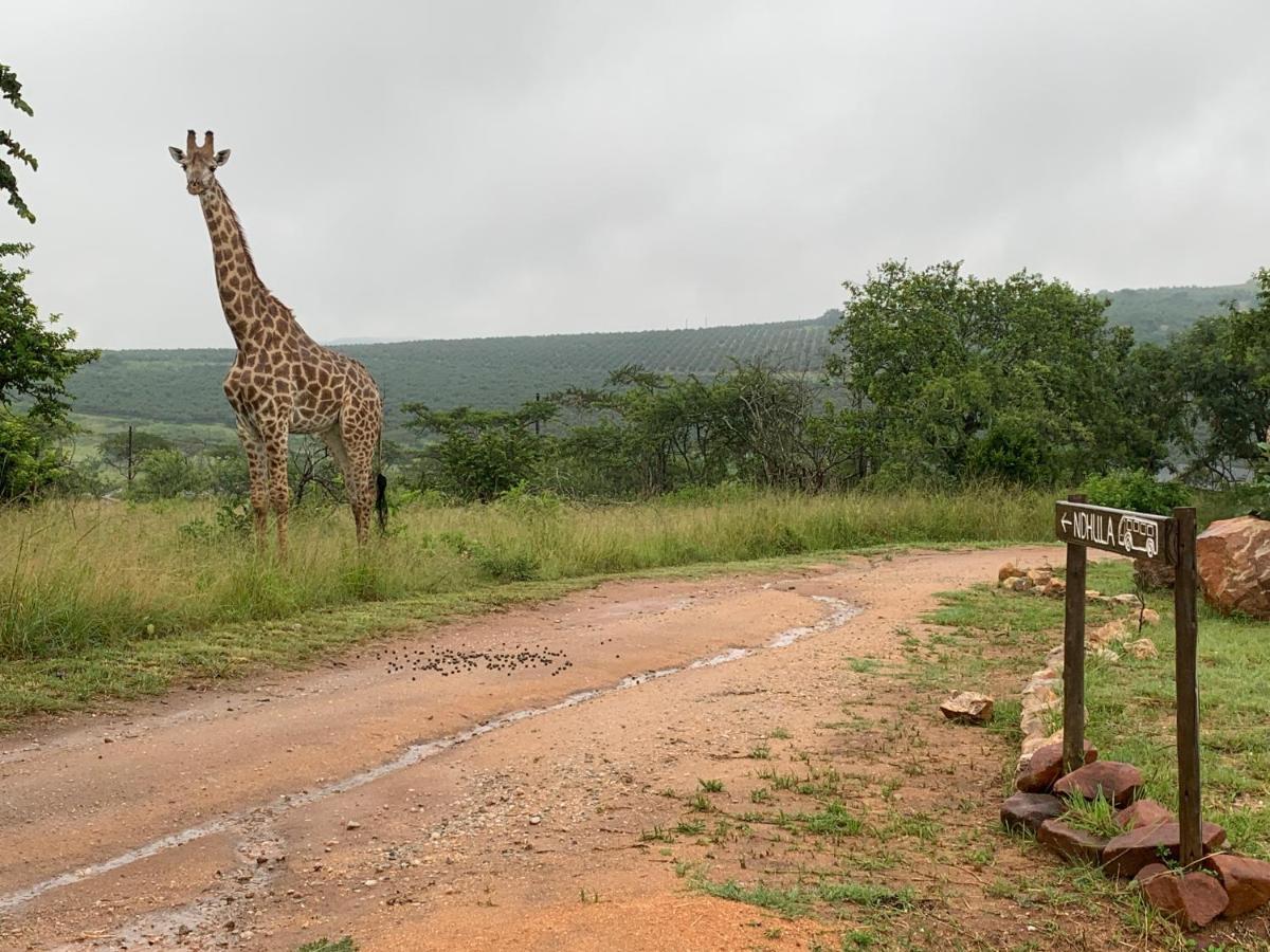 Ndhula Luxury Tented Lodge White River Dış mekan fotoğraf